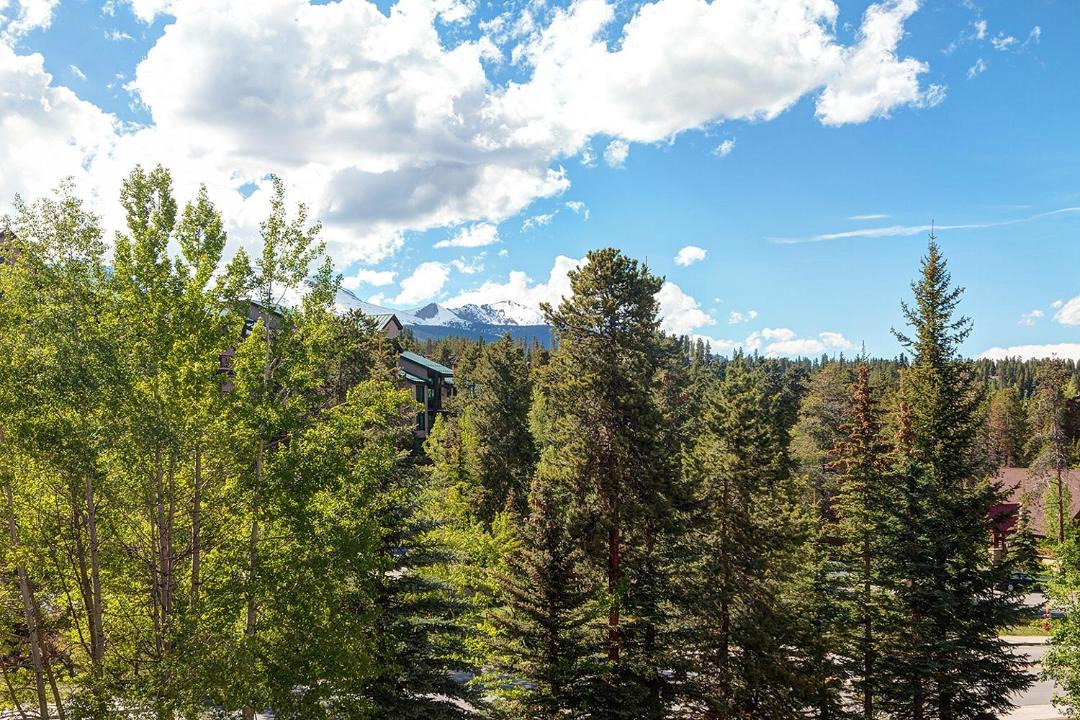 Photo of Others in Peak 9