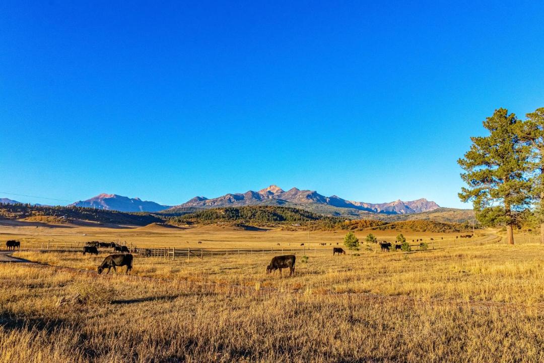 Photo of Others in Pagosa Springs