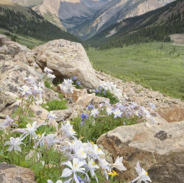 Photo of Others in Denver West