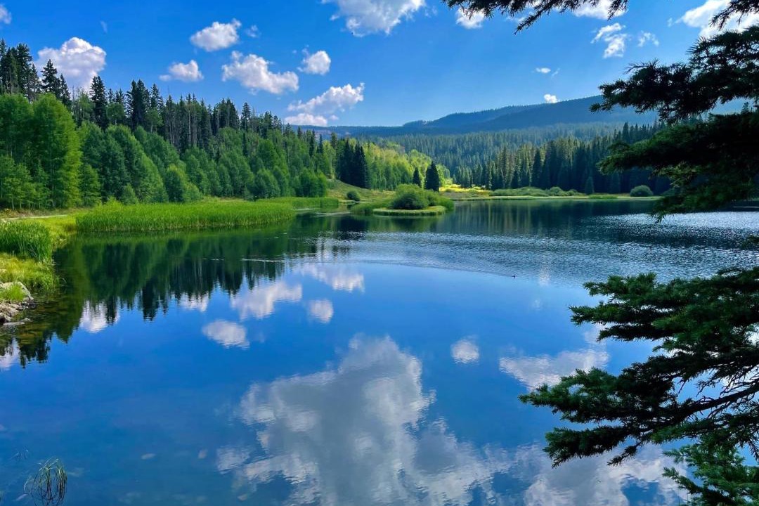 Photo of Others in Vallecito