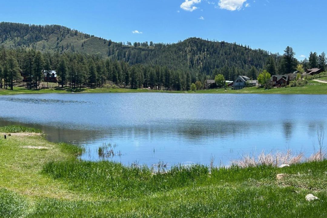 Photo of Others in Forest Lakes