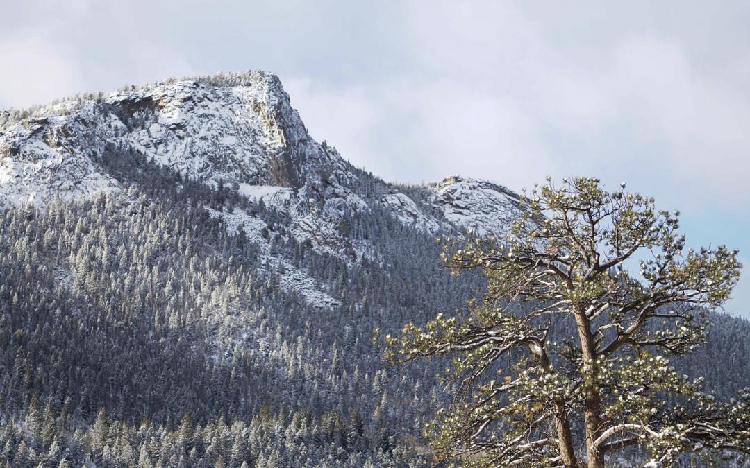 Photo of Others in Estes Park