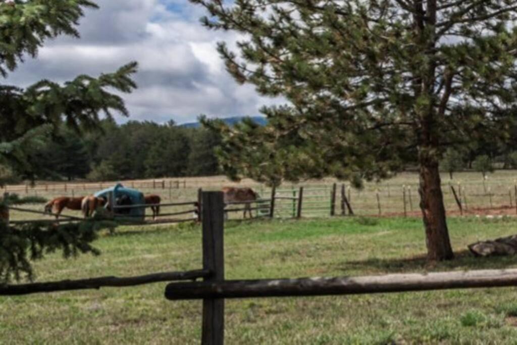 Photo of Others in Lake George