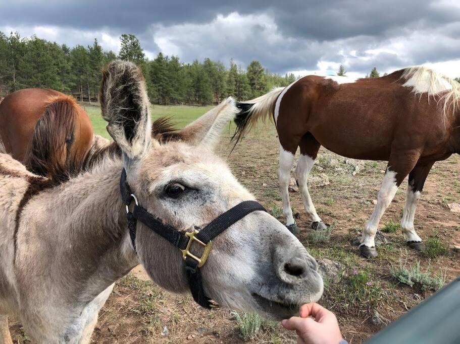 Photo of Others in Lake George