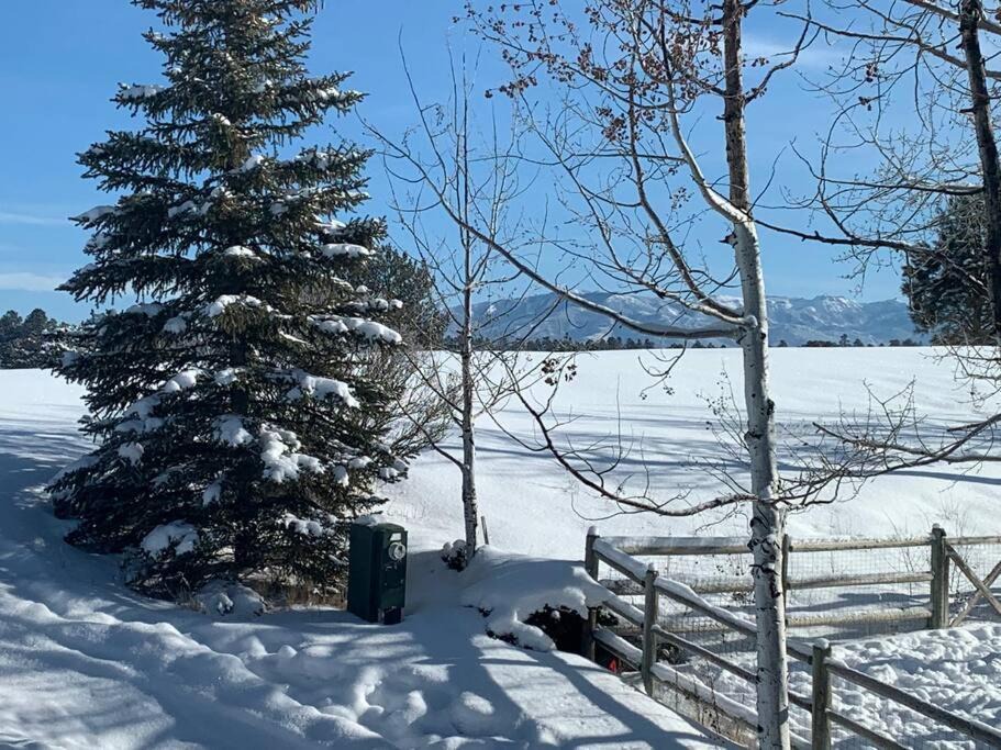 Photo of Others in Pagosa Springs