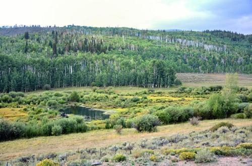 Photo of Outdoor in Walden