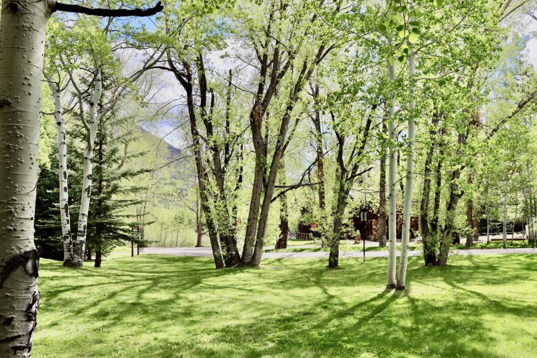 Photo of Others in Aspen