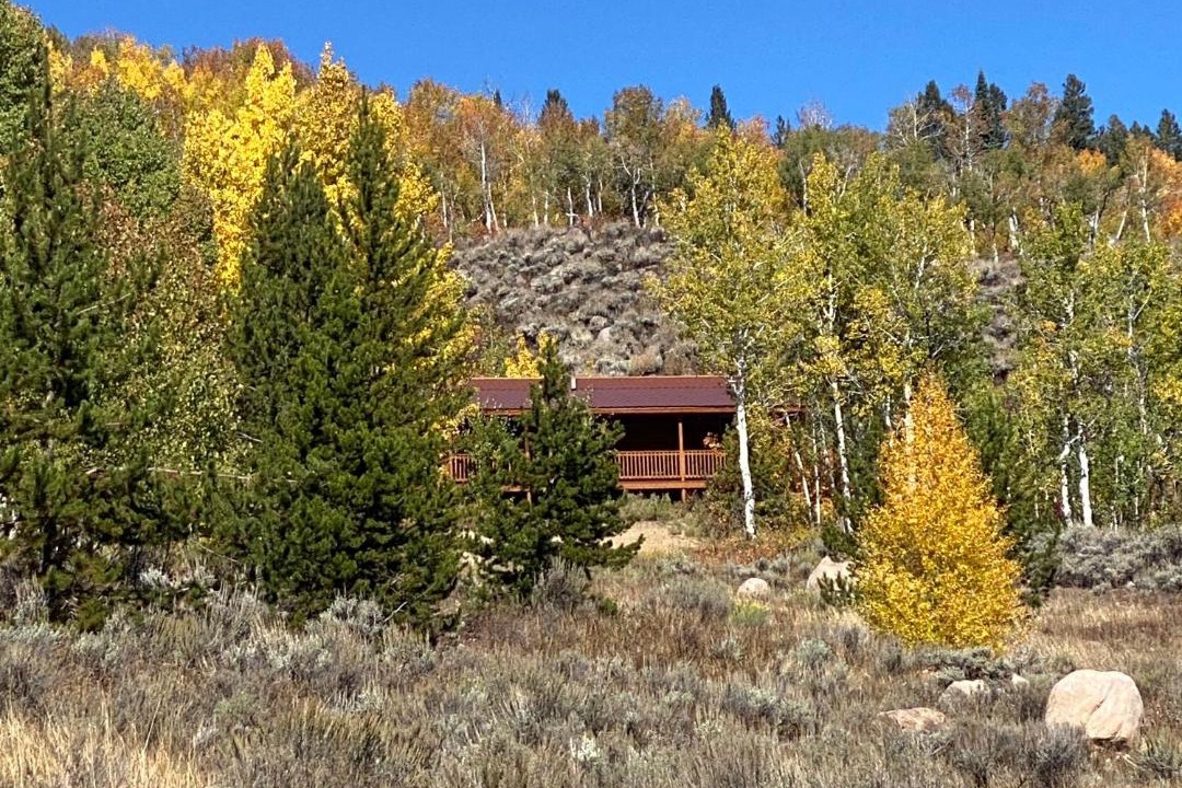Photo of Others in Walden