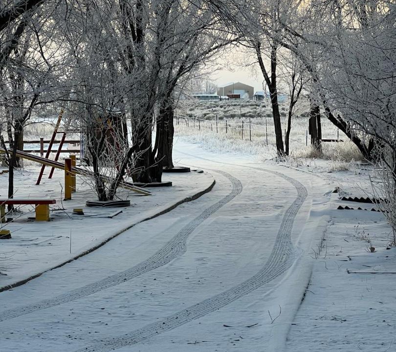 Photo of Others in Alamosa