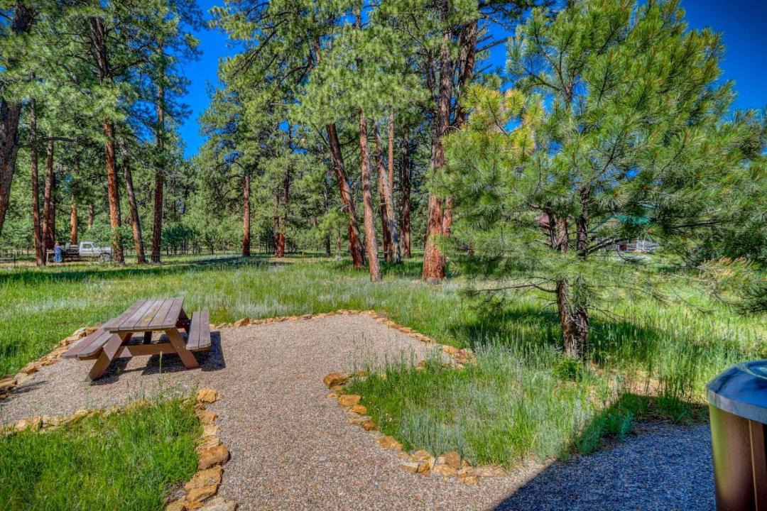 Photo of Others in Pagosa Highlands