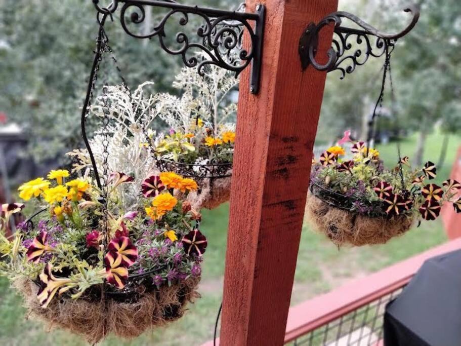 Photo of Patio Balcony in Woodland Park