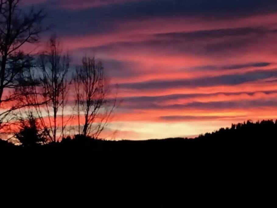 Photo of Outdoor in Woodland Park