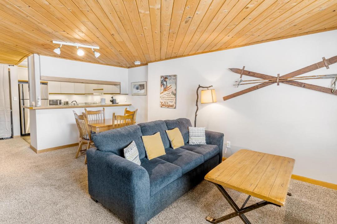 Photo of Livingroom in Steamboat Springs