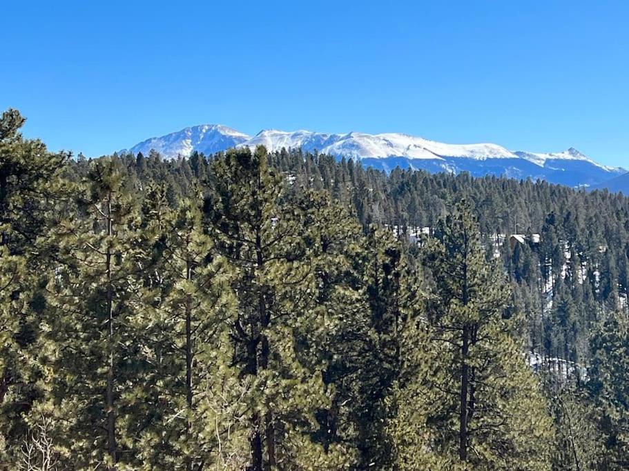 Photo of Outdoor in Woodland Park