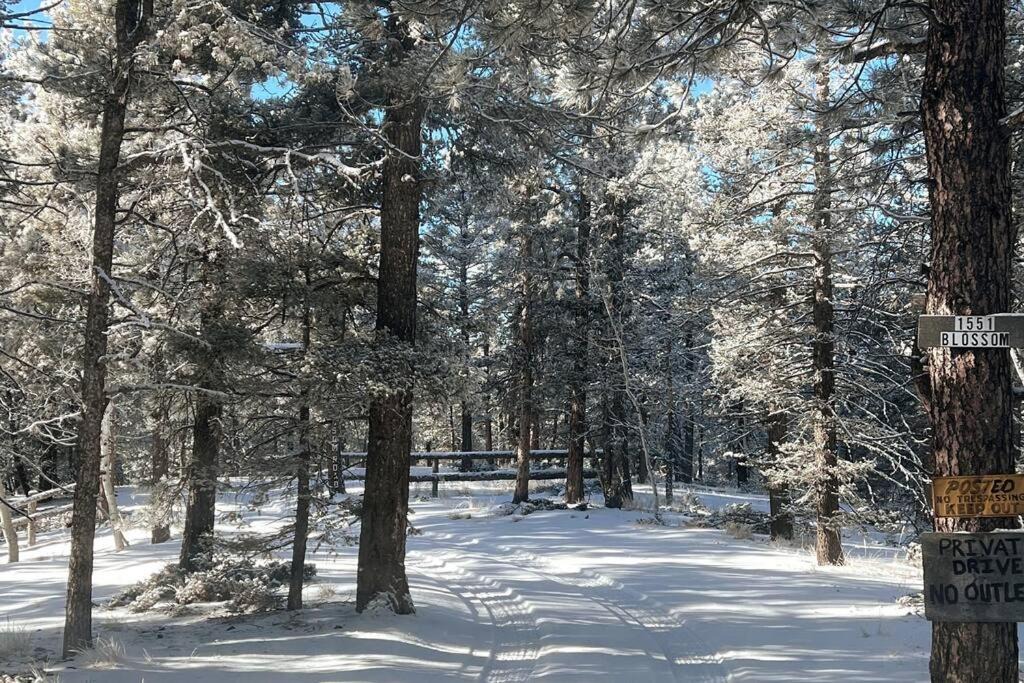 Photo of Buildings in Woodland Park