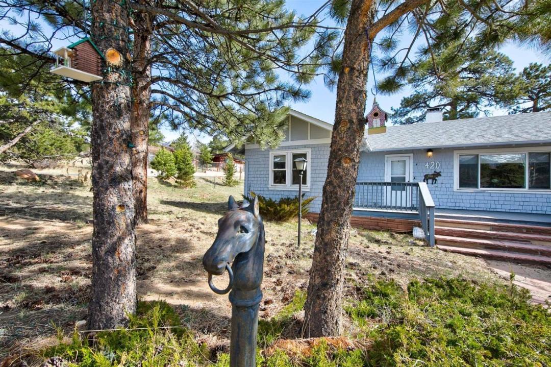 Photo of Buildings in Estes Park