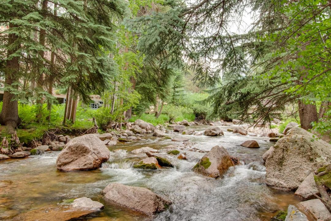 Photo of Others in Vail