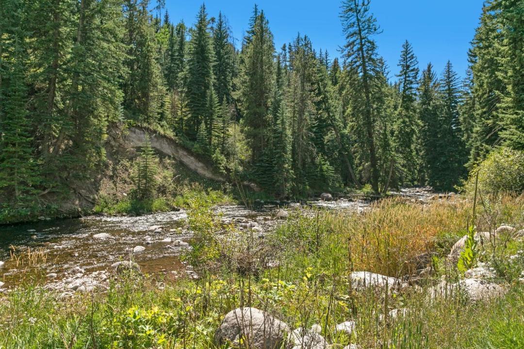 Photo of Others in Vail