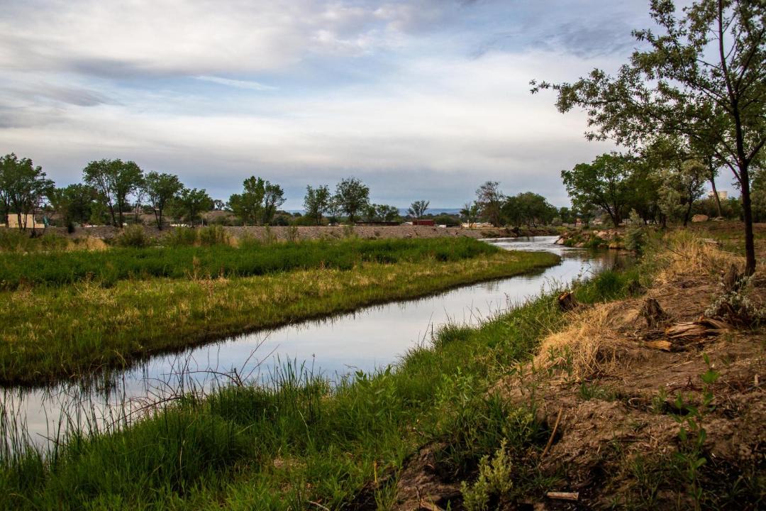 Photo of Outdoor in Delta