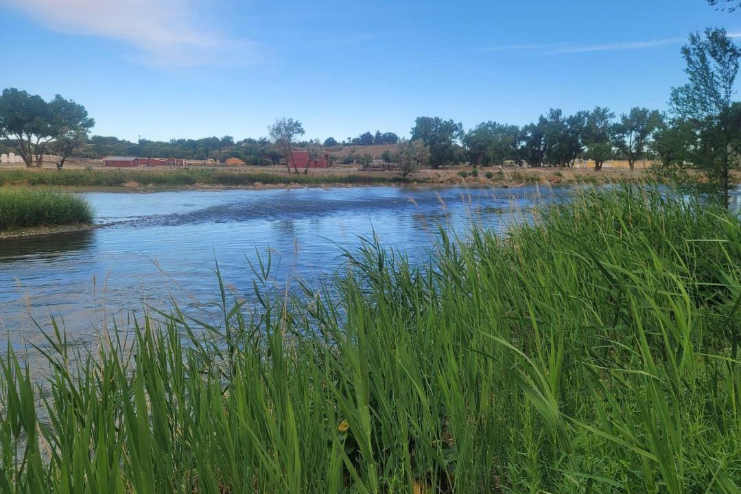 Photo of Outdoor in Delta