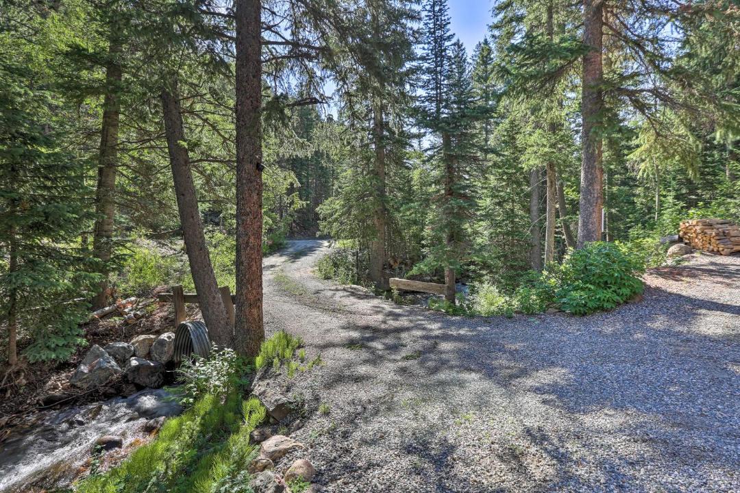 Photo of Others in Downieville-Lawson-Dumont