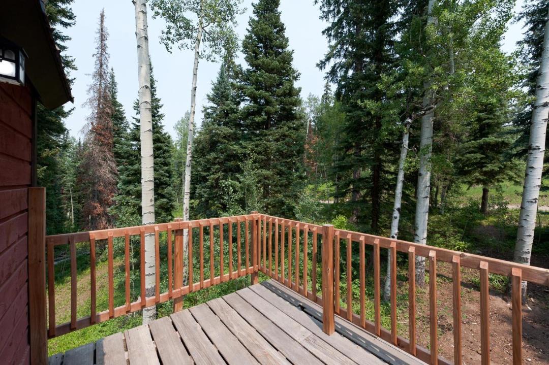 Photo of Patio Balcony in Columbine Lake