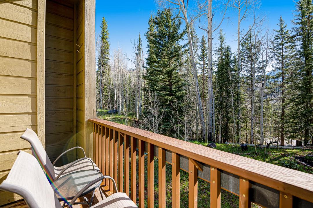 Photo of Patio Balcony in Purgatory