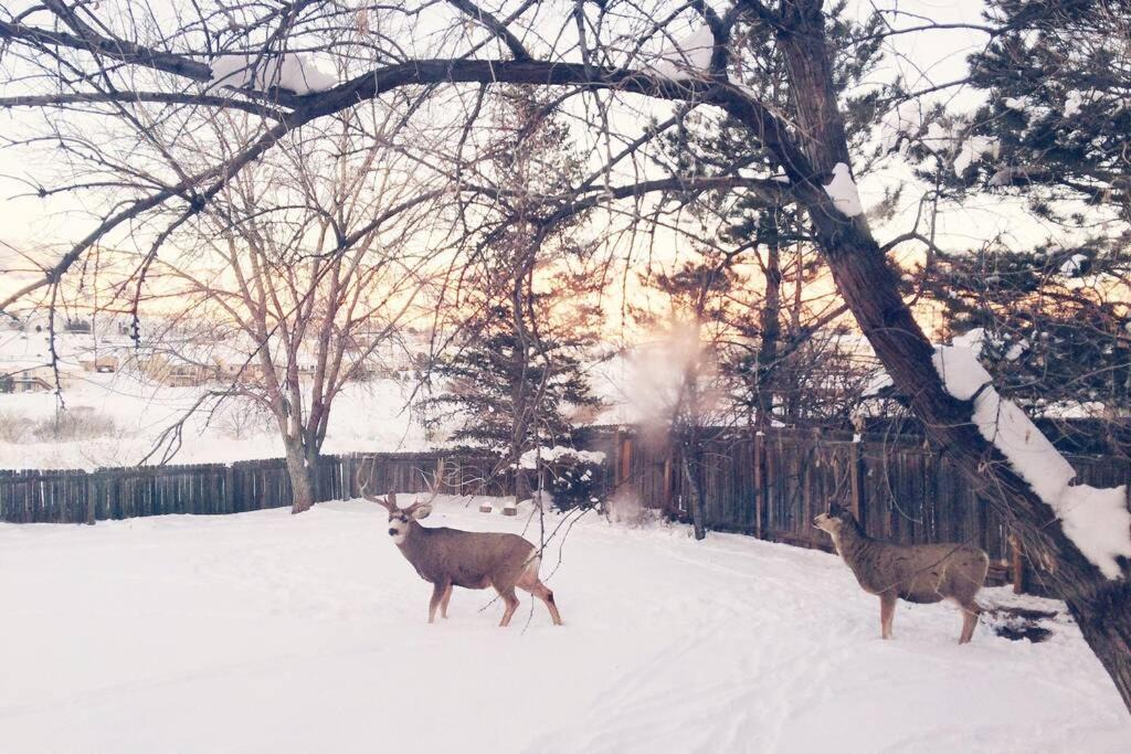 Photo of Others in Rockrimmon