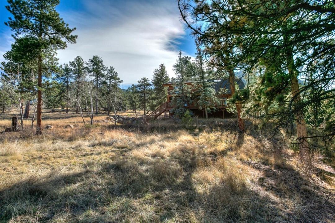 Photo of Others in Estes Park