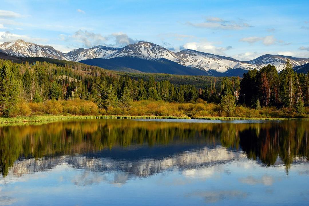 Photo of Others in Fraser