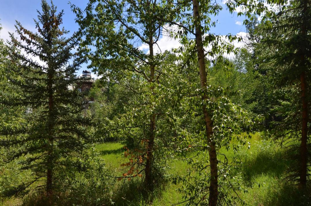 Photo of Outdoor in Beaver Creek