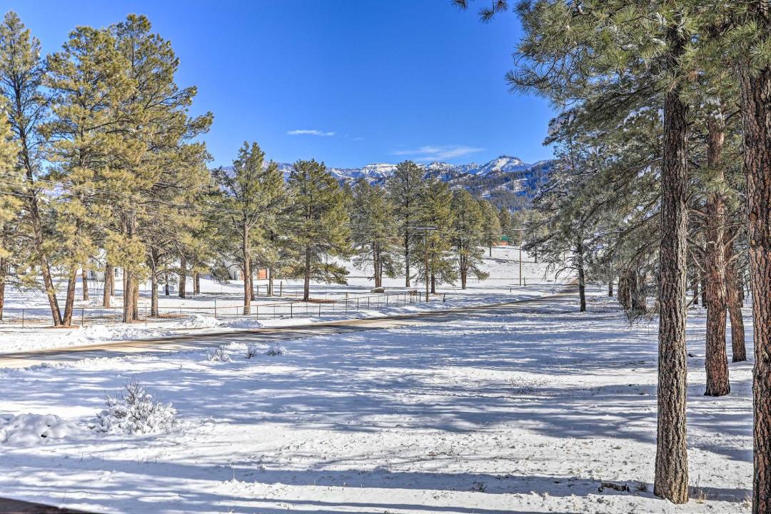 Photo of Others in Pagosa Springs