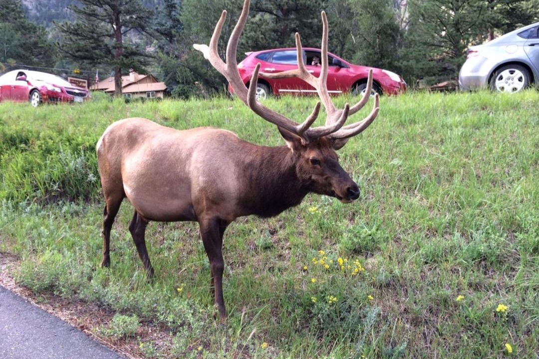 Photo of Others in Estes Park