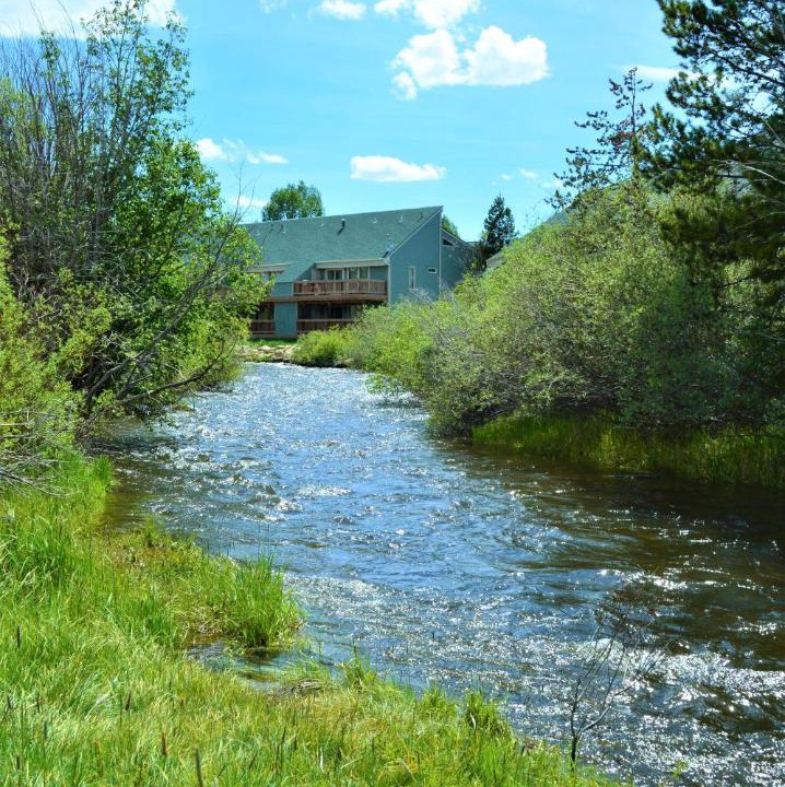 Photo of Others in Fraser