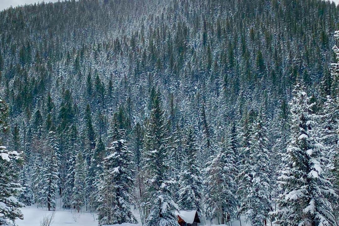 Photo of Others in Crested Butte