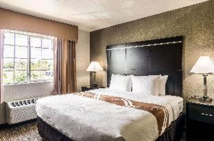 Photo of Bedroom in West Central Westminster