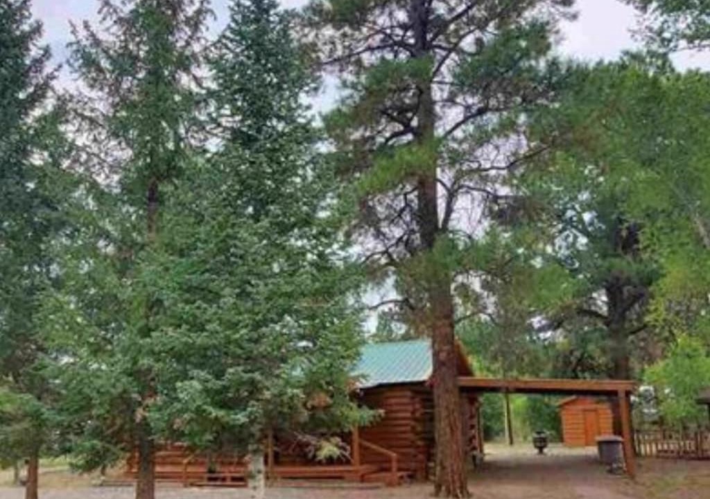 Photo of Others in Alpine Village