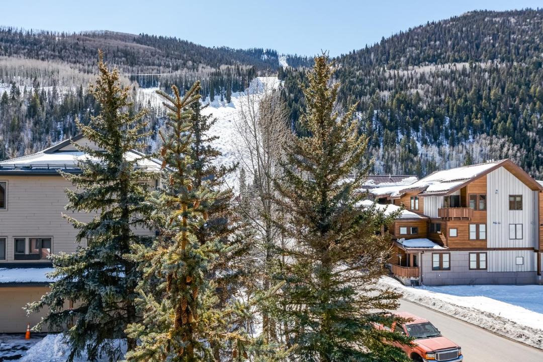 Photo of Others in Telluride