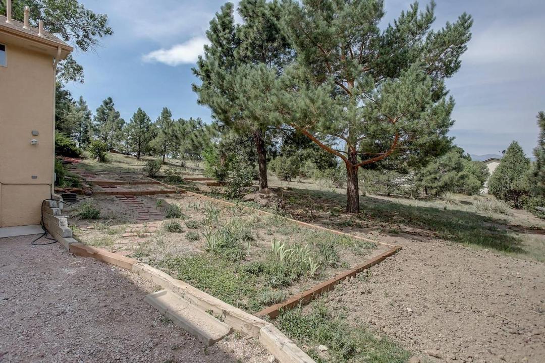 Photo of Others in Northeast Colorado Springs