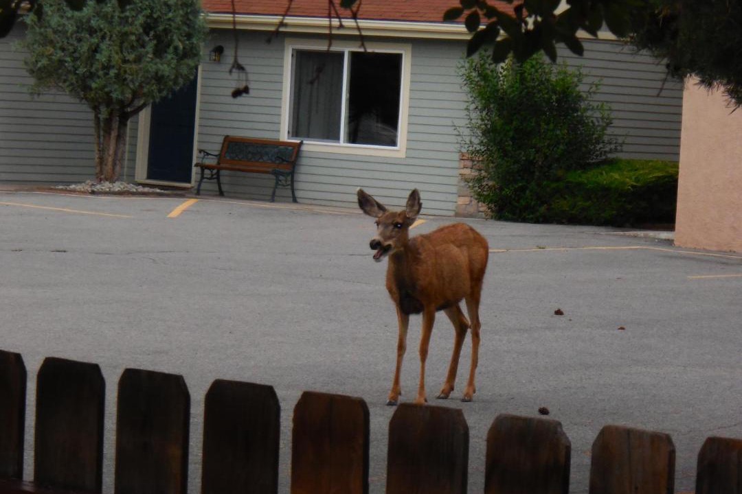 Photo of Others in Salida