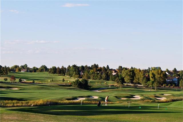Photo of Others in Lone Tree