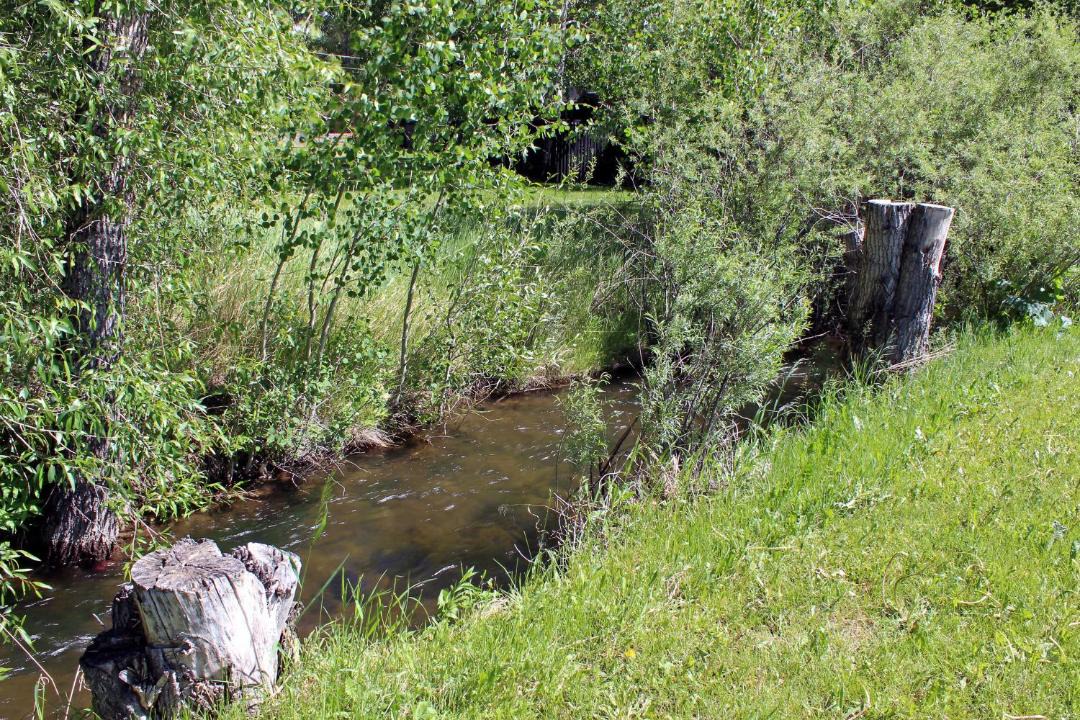 Photo of Others in Gunnison