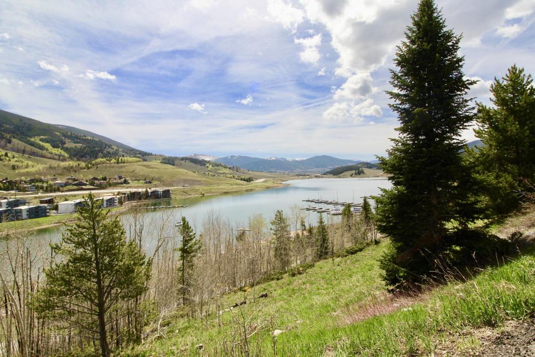 Photo of Others in Dillon