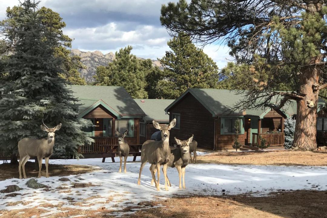 Photo of Others in Estes Park