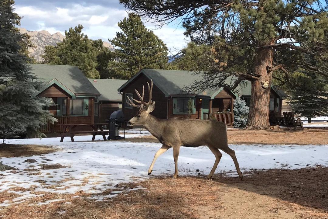 Photo of Others in Estes Park