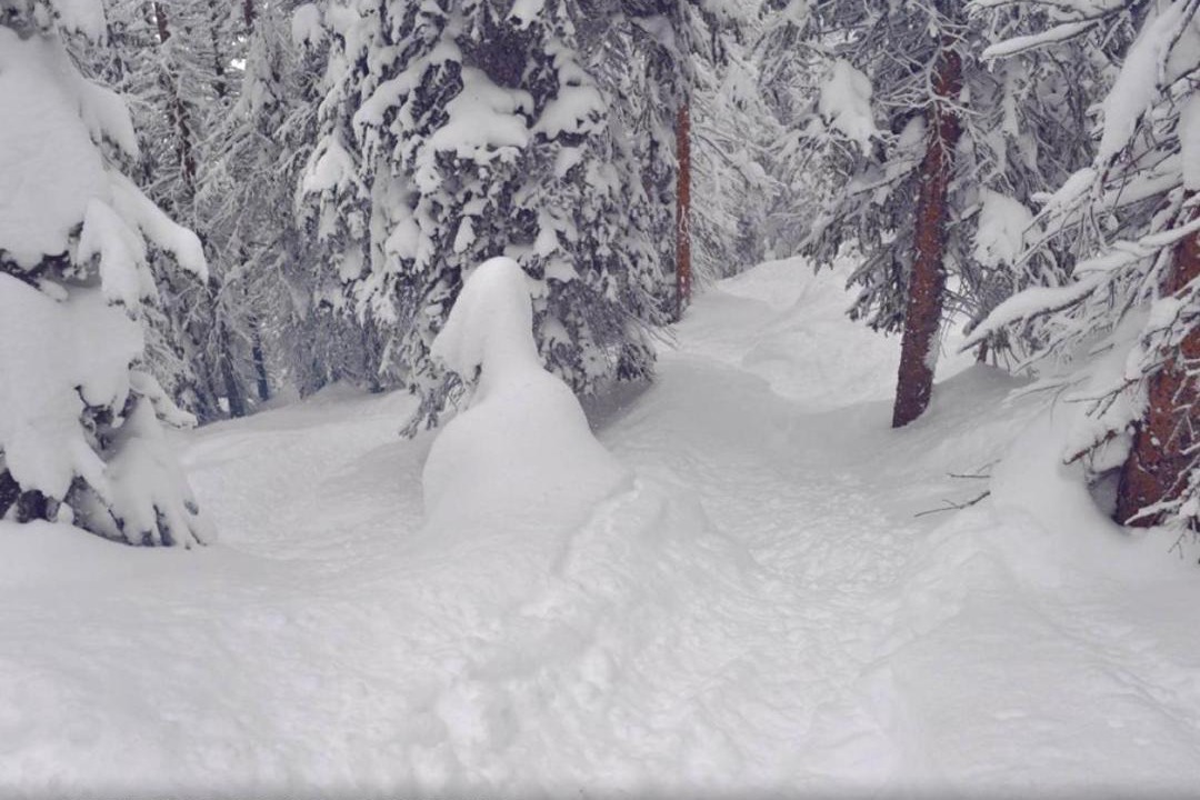Photo of Others in Downtown Steamboat Springs