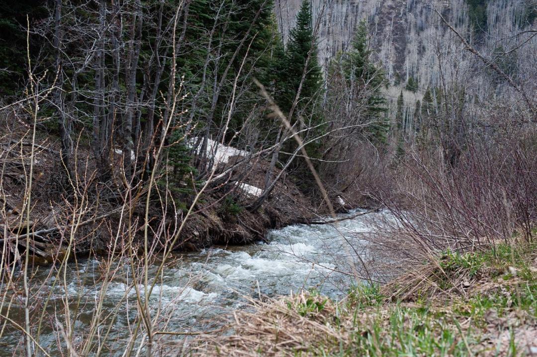 Photo of Others in Columbine Lake