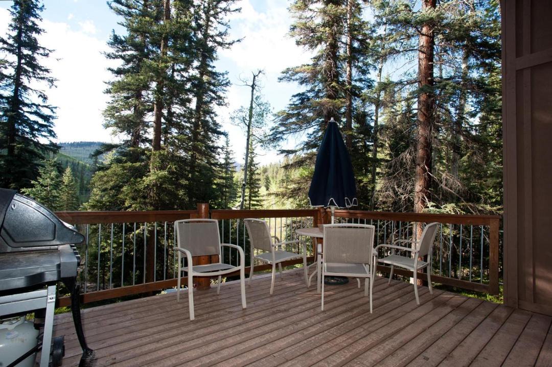 Photo of Patio Balcony in Columbine Lake