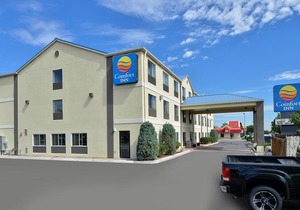 Quality Inn Brighton